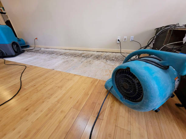 Professional Flood Damage Cleanup technician working in Reliance, TN